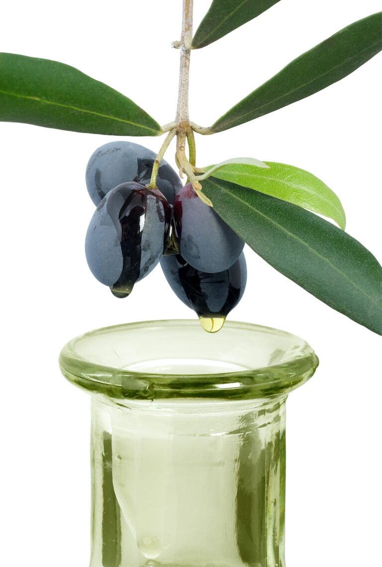 Verde Valley Olive Oil Traders Verde Valley Olive Oil Traders